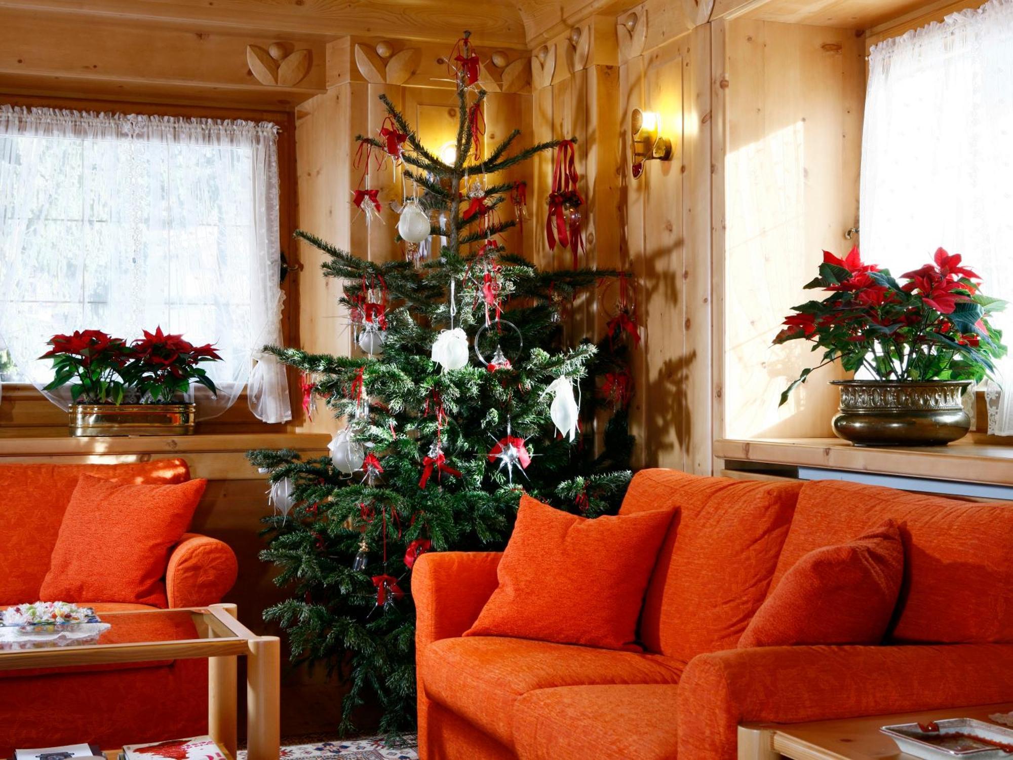 Hotel Natale Кортина-д'Ампеццо Экстерьер фото